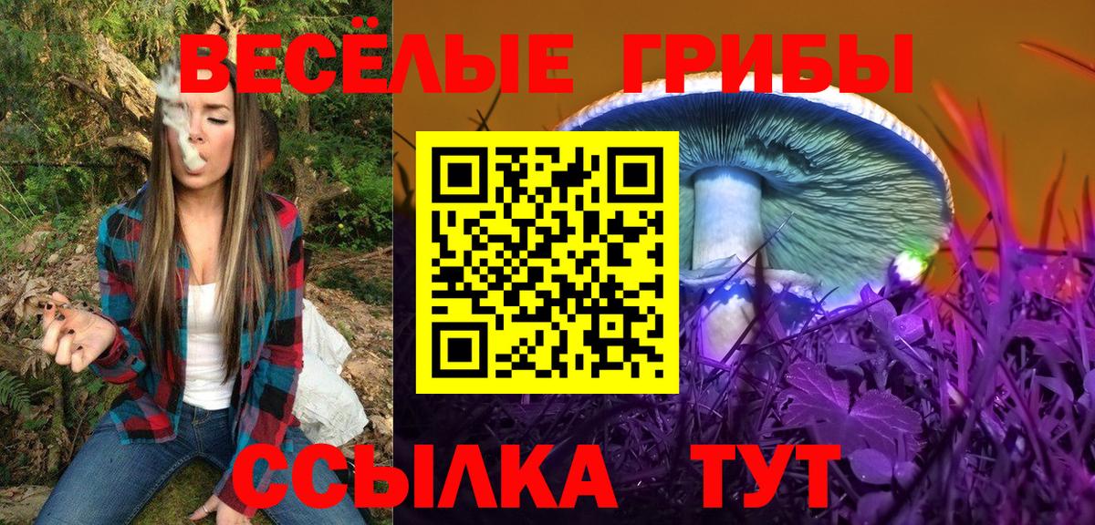 Псилоцибиновые грибы мицелий Котовск